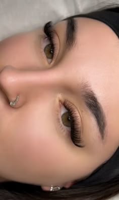 Eye Brows